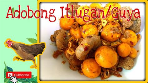 bahay itlugan ng manok
